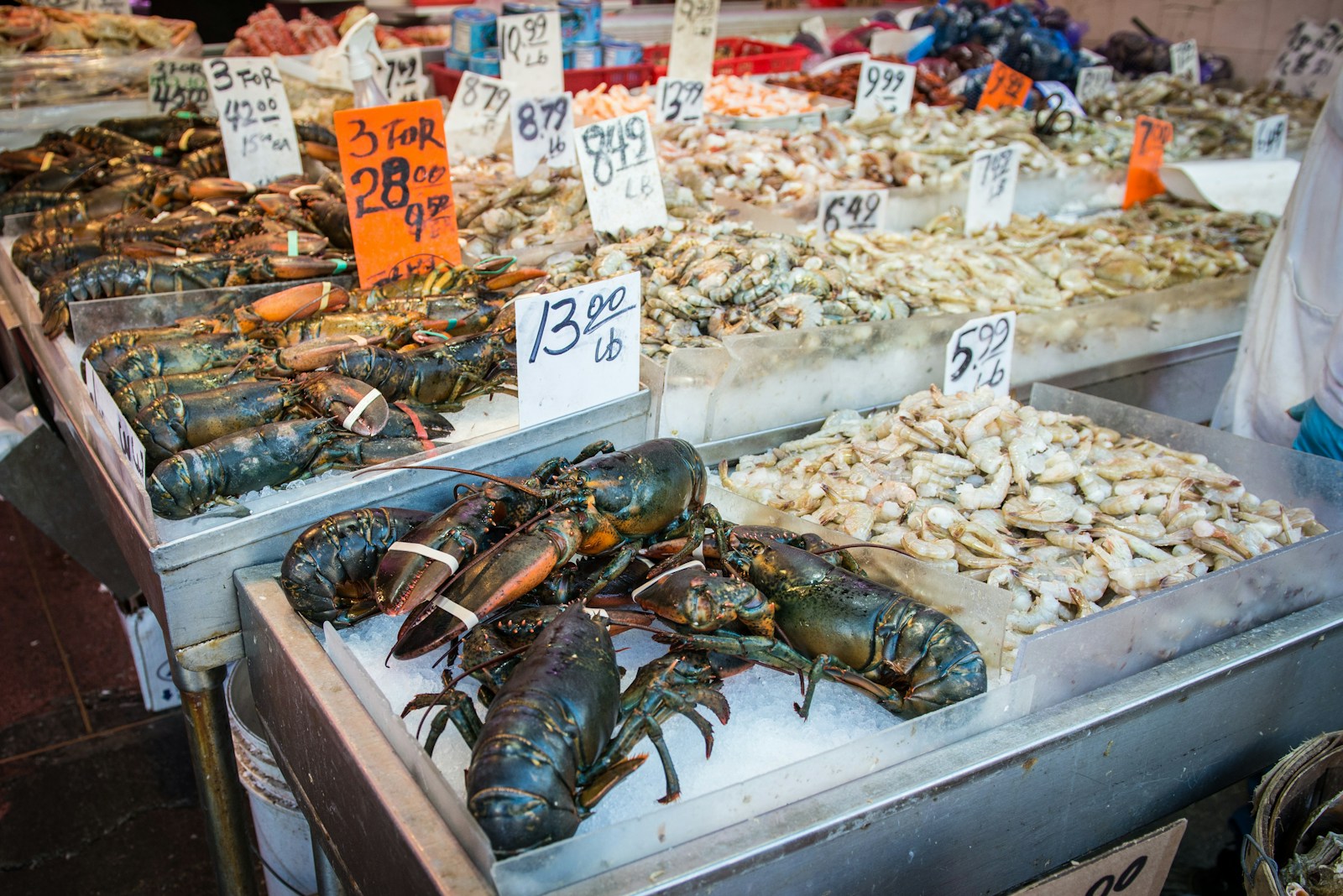 Ilustrasi seafood