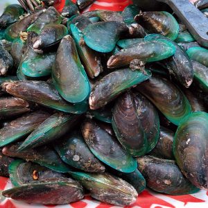 Kerang Hijau
