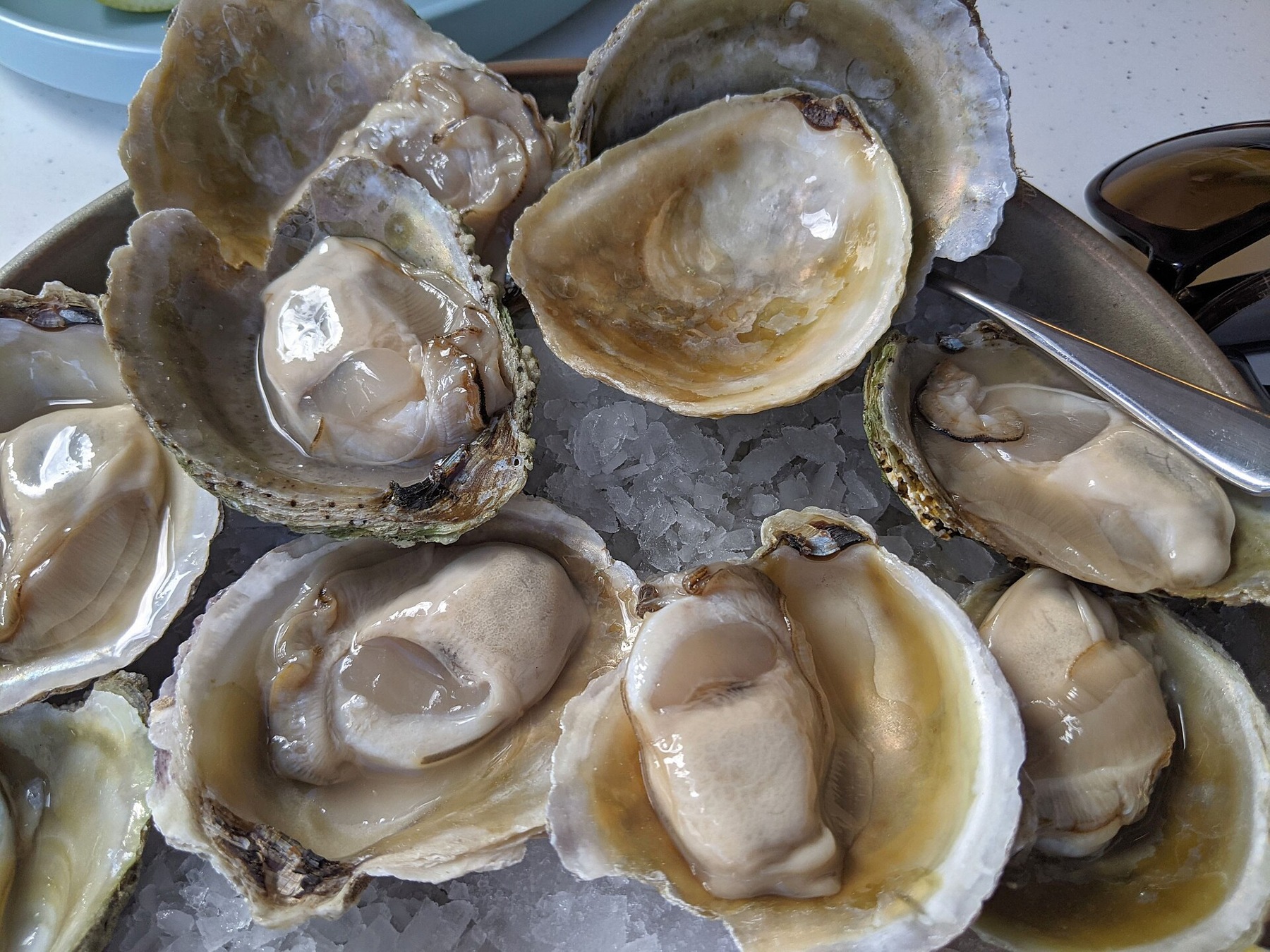 Oyster
