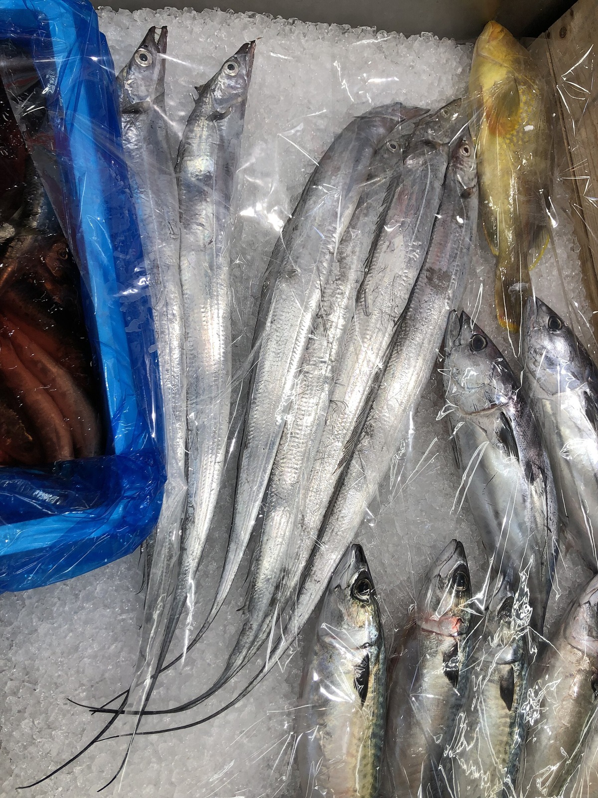 Ribbonfish (Layur)